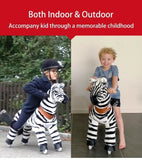 Ride on Zebra