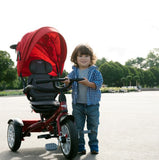Convertible Stroller