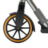 Two Wheeled Scooter