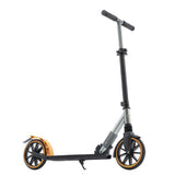 Two Wheeled Scooter