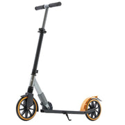 Two Wheeled Scooter