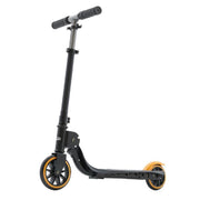 Two Wheeled Scooter