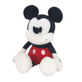 Stuffed Animal Toy