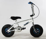 FatBoy Pro Mini BMX Fat Tire Bicycle Bike