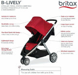 Single Stroller