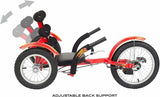 Cruiser Bike