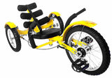 Cruiser Bike
