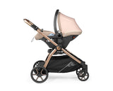 Single Stroller