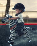 Ride on Zebra