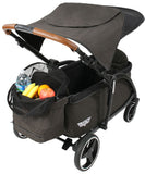 Stroller Wagon