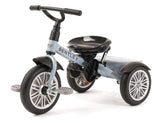 Convertible Stroller