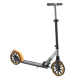 Two Wheeled Scooter