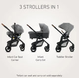 Avant Stroller
