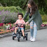 Convertible Stroller