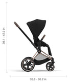 Stroller Frame