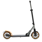 Two Wheeled Scooter