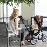 Convertible Stroller