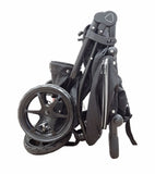Double Stroller