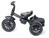 Convertible Stroller