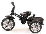 Convertible Stroller