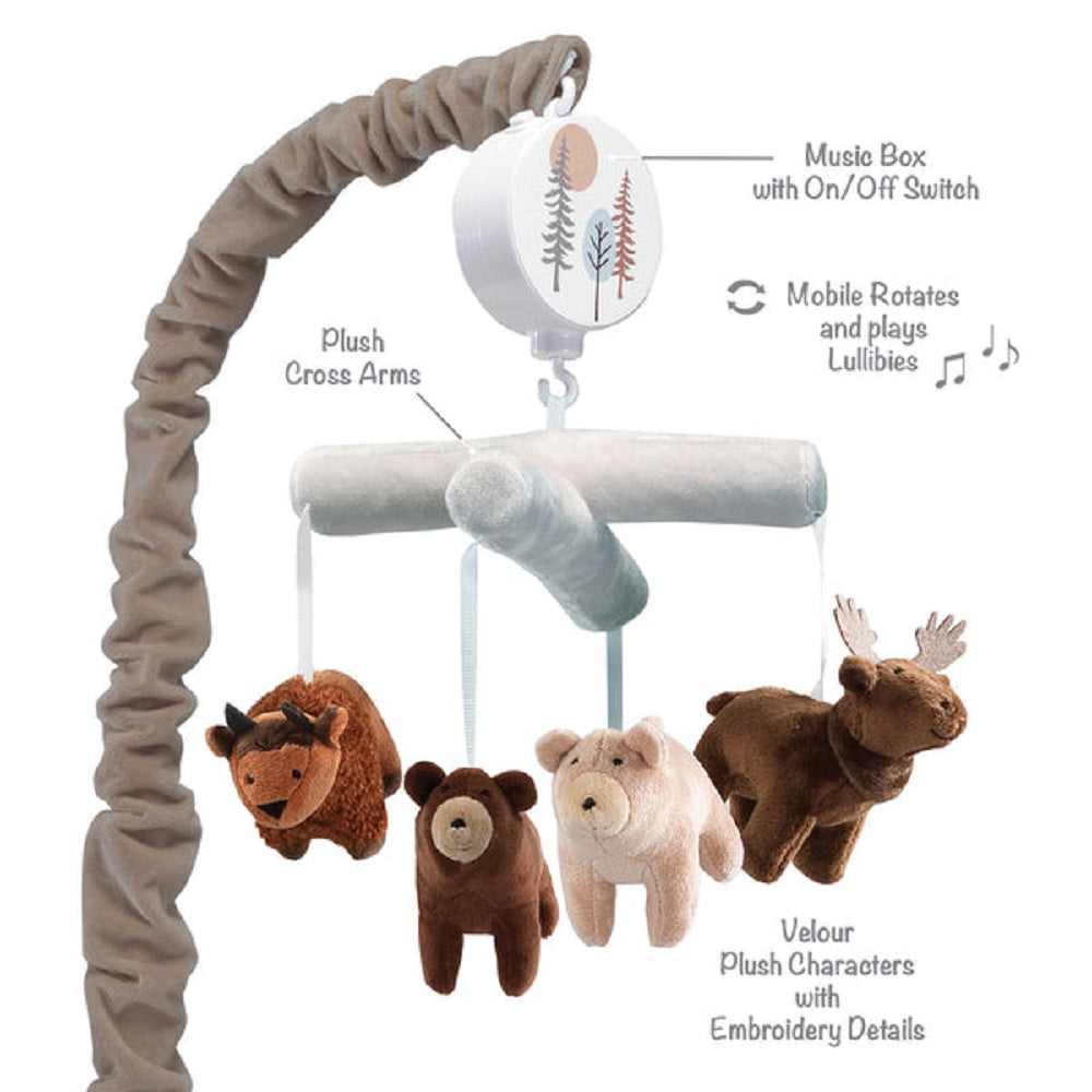 Baby Crib Mobile