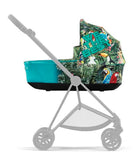 Carry Cot