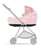 Carry Cot