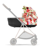 Carry Cot