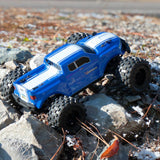 Electric Monster Truck