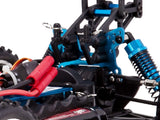 Brushless Electric Buggy
