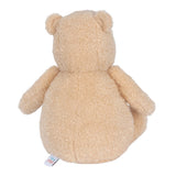 Plush Pooh