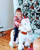 Ride on Horse