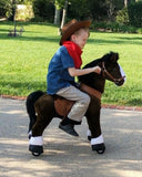 Ride on Horse